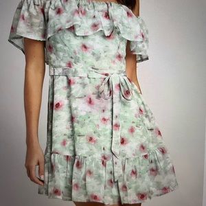 French Gardens Green Burnout Floral Off-the-Shoulder Mini Dress